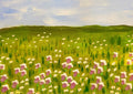 Lady Slippers and Daisies — Original Acrylic Painting